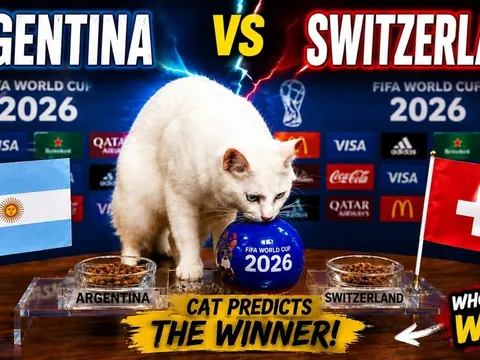 Dự đoán kết quả Argentina vs Thụy Sĩ - Tứ kết World Cup 2026: Mèo tiên tri quay lưng với Lionel Messi