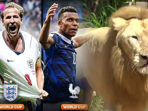 Dự đoán kết quả Pháp vs Anh, 4h ngày 19/7 - Tranh hạng 3 World Cup 2026: Sư tử 'tiên tri' gây sốt