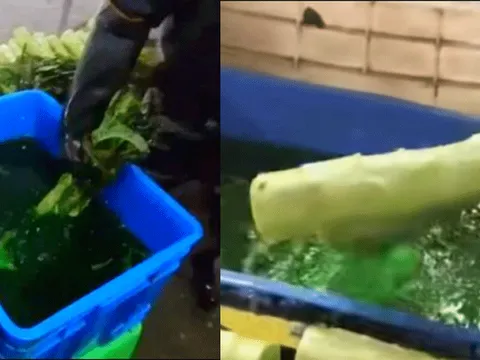 Phanh phui chiêu dùng phẩm màu ‘hô biến’ rau củ thành tươi xanh? Phẩm màu hại sức khỏe thế nào?