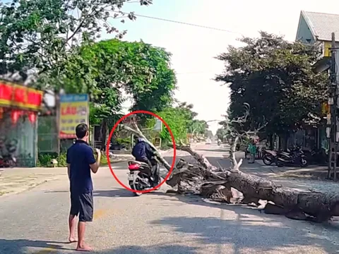 Thông tin mới vụ cưa cây đổ khiến người đi đường tử vong: Gia đình nạn nhân nói điều bất ngờ