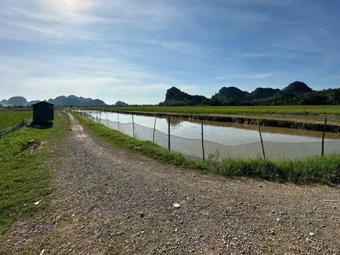 Nho Quan (Ninh Bình): Điều tra đối tượng dùng súng tự chế sát hại người trong đêm