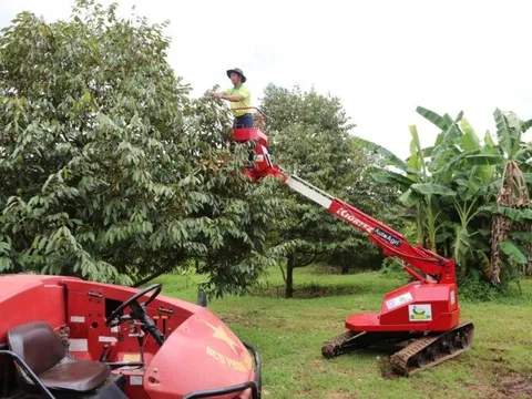 Sầu riêng Gia Bảo hiện thực hoá hành trình xuất khẩu chính ngạch
