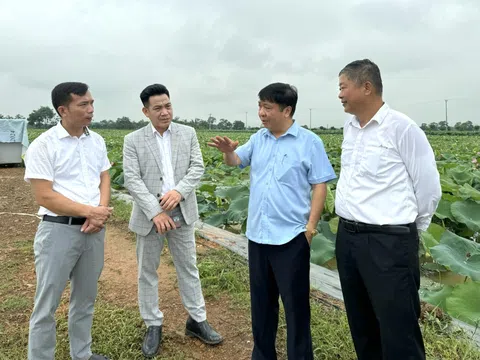 HTX Nông nghiệp Xứ Đoài: Phát triển nông nghiệp sinh thái gắn với phát huy di sản văn hoá làng So