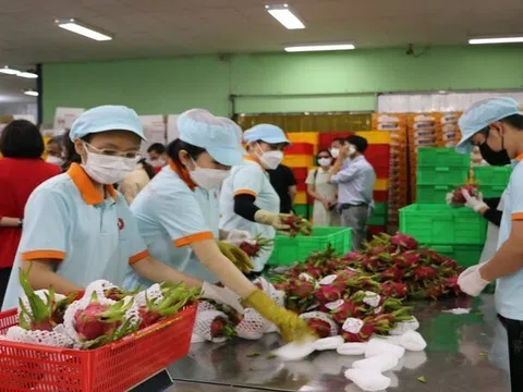 Vietnam has ample opportunities for fruit and vegetable export to Germany