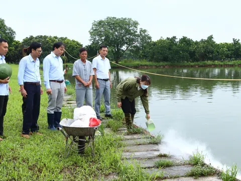 Hà Nội: Một số giải pháp khuyến nông để thúc đẩy sự phát triển nông nghiệp và phát triển nông thôn bền vững