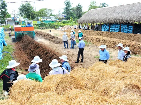 Cần Thơ: Sáng kiến Lớp học kinh doanh cho nông dân (FBS) nâng cao chuỗi giá trị lúa gạo và tích cực bảo vệ môi trường