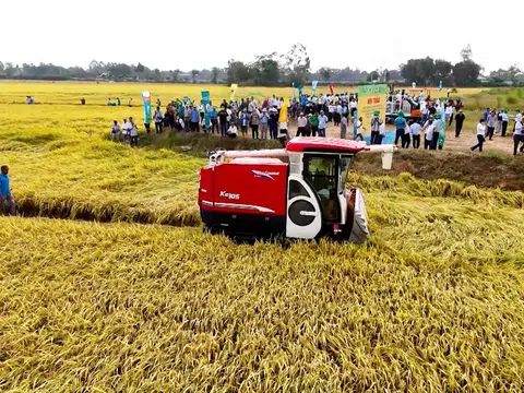 Triển khai Dự án "Các Trung tâm Đổi mới Sáng tạo Xanh" tại Hậu Giang: Kết quả và định hướng