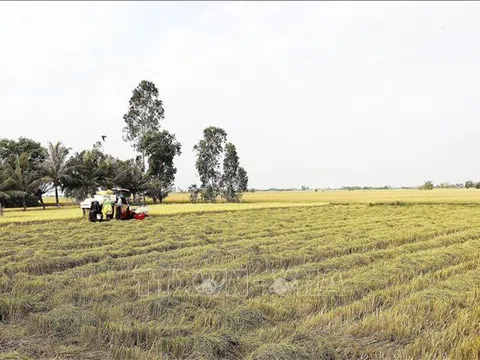 Sóc Trăng: Dự án GIC tạo động lực cho đổi mới sáng tạo và thúc đẩy phát triển nông nghiệp tuần hoàn
