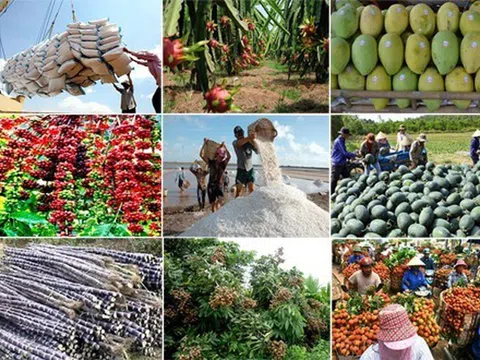 Chủ động khai thác các biện pháp bảo đảm sản xuất, chế biến, tiêu thụ và xuất khẩu nông sản