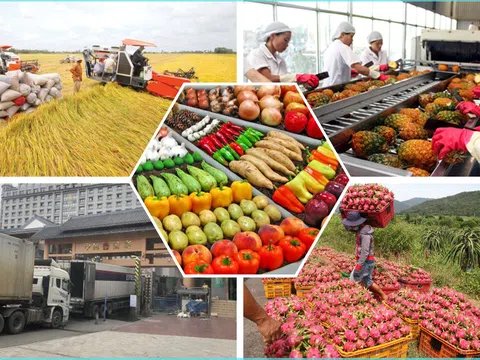 Hội nghị thúc đẩy xuất khẩu nông sản 2025: Nền tảng vững chắc cho tăng trưởng bền vững