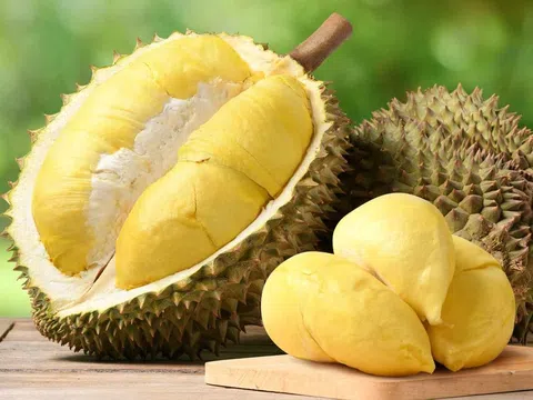 Sầu riêng Việt Nam: Nâng tầm vị thế nhờ "né vụ" và chuẩn hóa quy trình