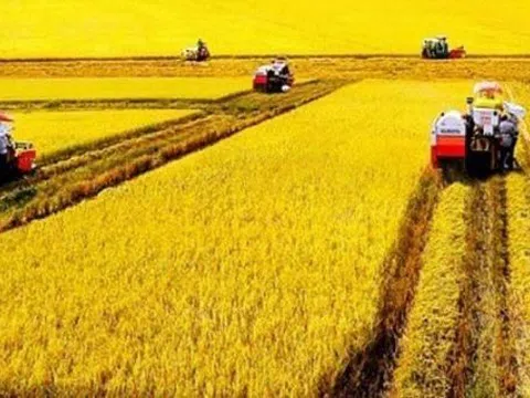 Quốc hội thông qua gia hạn miễn thuế đất nông nghiệp đến 2030: Chính sách trọng điểm hỗ trợ nông dân