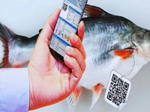 Nông sản Việt Nam trước "bài toán" truy xuất nguồn gốc: Thách thức hay cơ hội bứt phá?