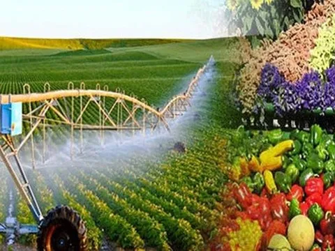 Nông nghiệp Việt Nam: Chuyển mình từ tư duy sản xuất sang kinh tế đa giá trị