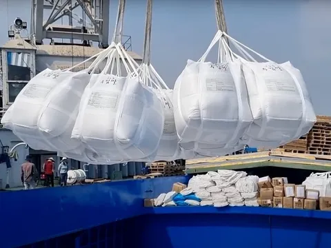 Ngành lúa gạo Việt Nam: Những bài học và thách thức cần điều chỉnh kịp thời