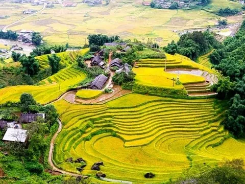 Những “nấc thang vàng” Y Tý: Mô hình nông nghiệp đa giá trị và bài học phát triển bền vững