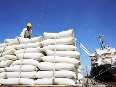 Đa dạng hóa và nâng cao giá trị để ngành lúa gạo Việt Nam bứt phá