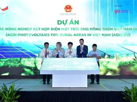 Giải pháp đột phá cho nông nghiệp Việt Nam: Dự án điện mặt trời tích hợp canh tác