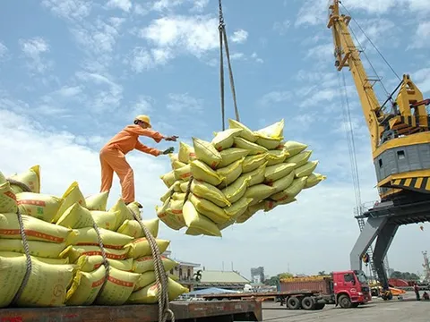 Philippines tạm ngừng nhập gạo: "Cú phanh" bất ngờ và những giải pháp từ nội lực