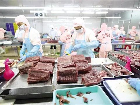 Ngành thủy sản Việt Nam những thách mới từ rào cản thị trường Mỹ