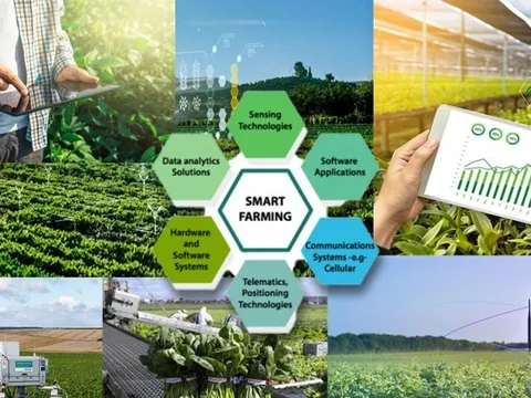 Nông nghiệp số: Hành trình chuyển mình từ tri thức đến đổi mới sáng tạo