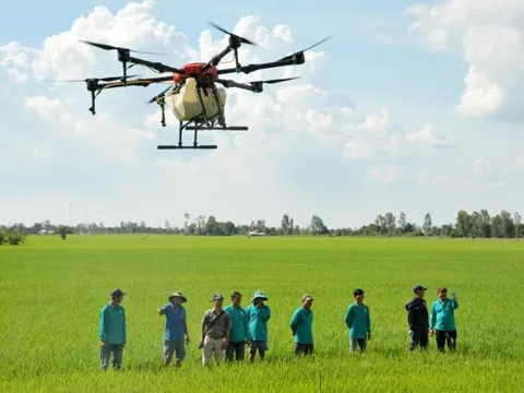 Tự tin ứng dụng drone: Giải pháp đột phá cho nông nghiệp bền vững (Kỳ 4)