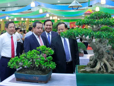 Cây cảnh nghệ thuật và Nghệ thuật cây cảnh