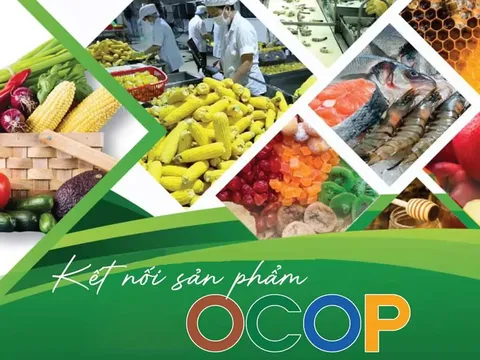 OCOP Việt Nam: Bốn trụ cột nâng cao chất lượng sản phẩm gắn với phát huy tri thức bản địa