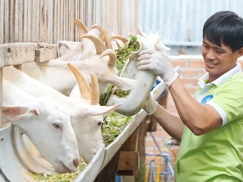 Cần định vị chính xác: Nông dân họ là ai?