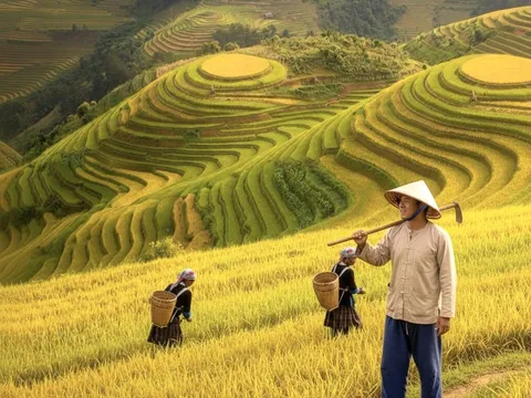 Nông nghiệp sinh thái tại Việt Nam: Thực trạng, giải pháp và những vấn đề đặt ra