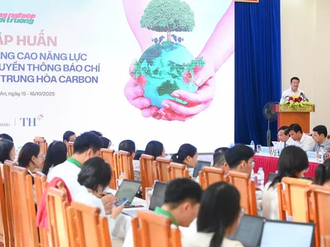 Khung chính sách trung hòa carbon Việt Nam: Quyết tâm Net Zero 2050