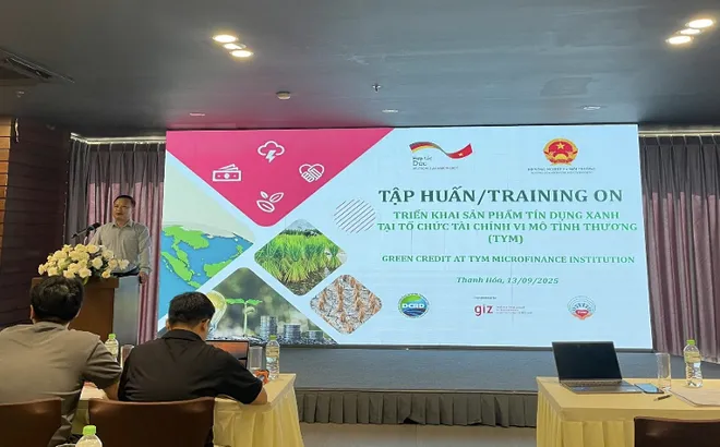 Tín dụng xanh: Bước tiên phong trong tài chính xanh cho phát triển bền vững