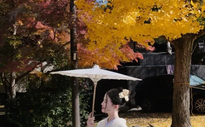 Bỏ túi mẹo du lịch cực "hời" và những góc check-in ít người biết tại Nhật Bản