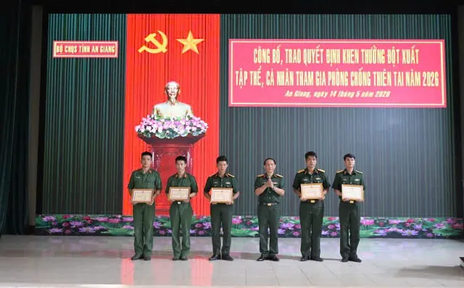 An Giang: Khen thưởng tập thể, cá nhân xuất sắc trong chữa cháy rừng tại xã Cô Tô