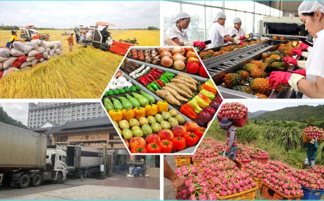 Bảo đảm sản xuất, tiêu thụ, xuất khẩu nông lâm thủy sản trong bối cảnh biến động thương mại toàn cầu