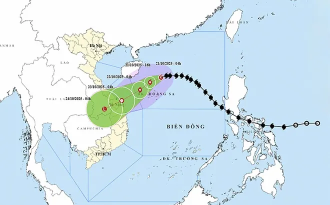 Thủ tướng yêu cầu chủ động ứng phó bão số 12 và mưa lũ