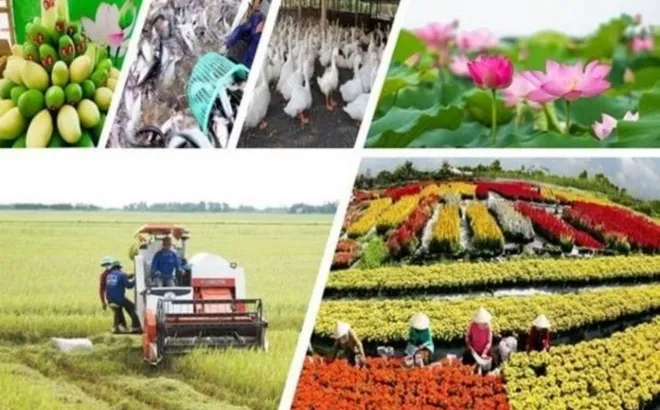 Ngành nông nghiệp duy trì tăng trưởng dù bị thiệt hại do thiên tai: Thử thách sức chống chịu và nội lực phát triển bền vững