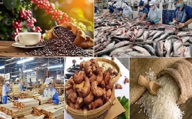 Ngành Nông nghiệp kỳ vọng cán mốc xuất khẩu 70 tỷ USD trong năm 2025