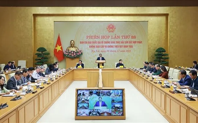 Thủ tướng: Chống khai thác IUU, đảm bảo trung thực, khách quan, không hình thức