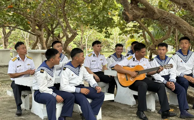 Cây xanh trên đảo Song Tử Tây: Hệ sinh thái cộng sinh giữa đại dương