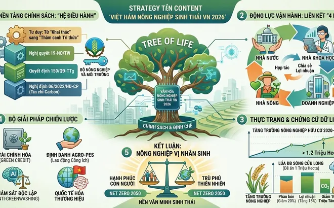Kiến tạo môi trường văn hoá nông nghiệp sinh thái: Chiến lược điều phối và định chế quản trị (Bài 09)