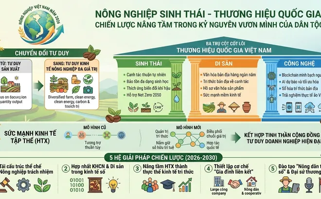 Nông nghiệp Sinh thái - Thương hiệu Quốc gia, tầm nhìn chiến lược trong Kỷ nguyên vươn mình (Bài 10)