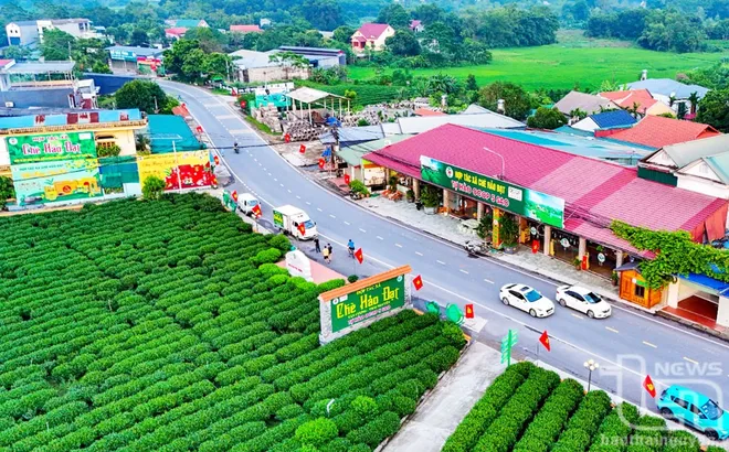 Hiện đại hóa Nông thôn: Thực trạng và Giải pháp