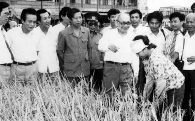 HTX Nông nghiệp Việt Nam giai đoạn (1976 - 1986) - Bài 04