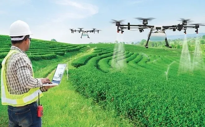 HTX Nông nghiệp Việt Nam giai đoạn từ 2013 đến nay và tầm nhìn 2045 (Bài 08)