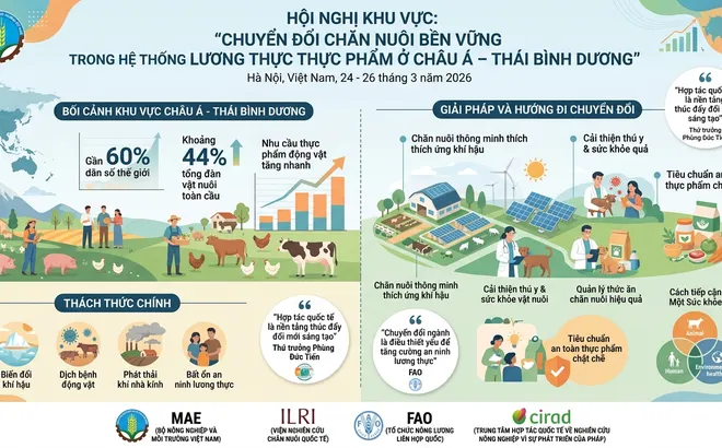 Hội nghị khu vực: “Chuyển đổi chăn nuôi bền vững trong hệ thống lương thực thực phẩm ở châu Á – Thái Bình Dương”