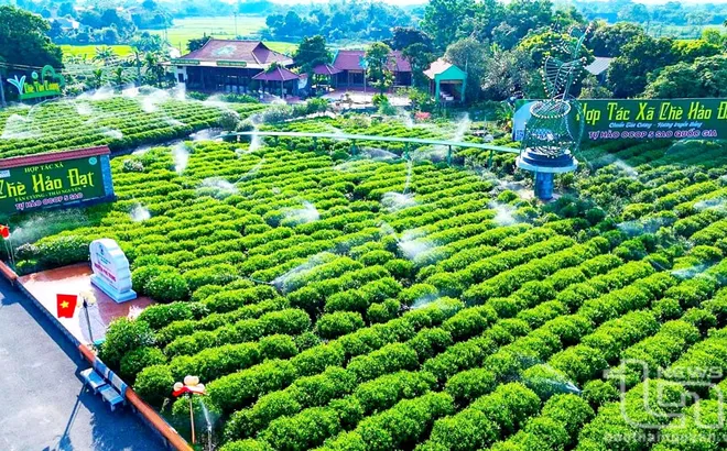 HTX: “Mắt xích vàng” trong liên kết và chuỗi giá trị toàn cầu - Bài 14