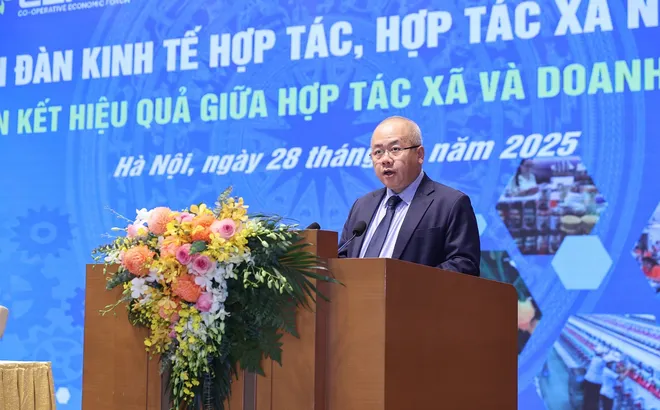 HTX Nông nghiệp: Từ kinh nghiệm quốc tế đến lộ trình làm chủ công nghệ và nông nghiệp sinh thái - Bài 16