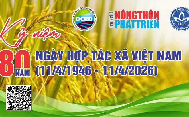 Hành trình 80 năm HTX Việt Nam (11/4/1946 - 11/4/2026: Tự cường, Đổi mới và Khát vọng kinh tế sinh thái toàn cầu - Bài 17