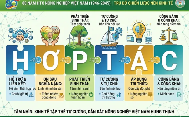 Hệ giá trị HỢP TÁC: Nền tảng cốt lõi để phát triển bền vững (Bài cuối)